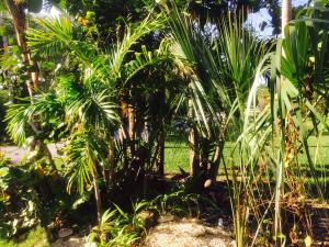 COLONIAL RIDGE CORP - Residential