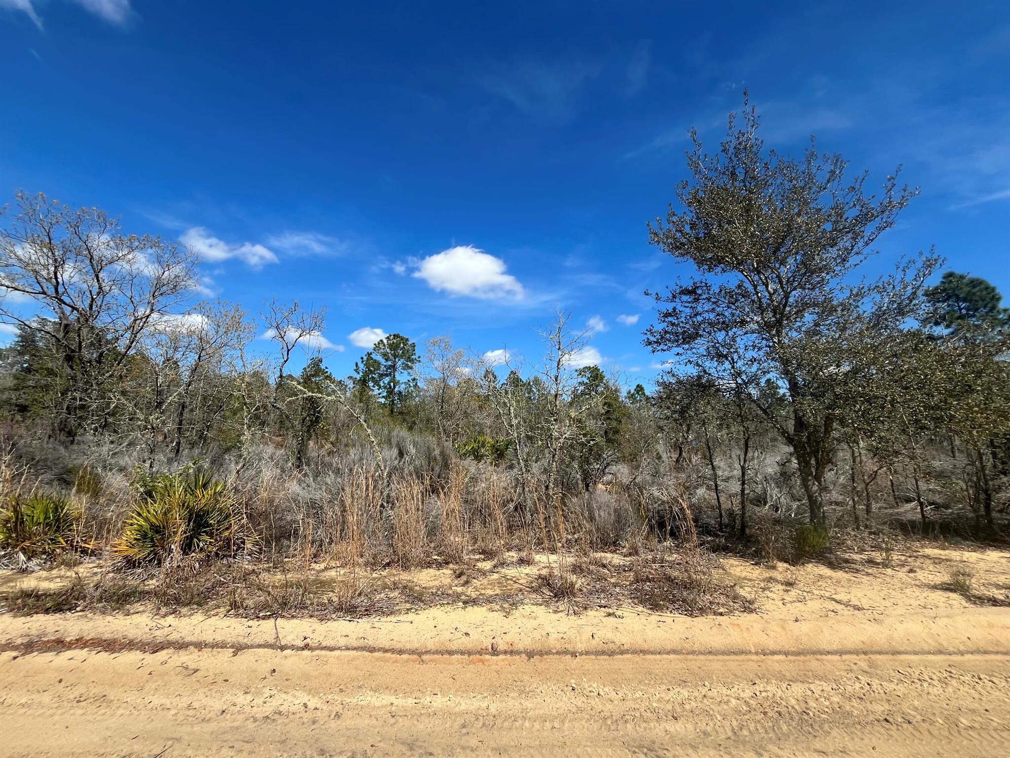 Don't Miss out on this High and dry 1.12 ACRE LOT. Looking to purchase your dream property in Florida, look no further. This lot is listed below market value! Buying Land in Florida is a solid investment for your future, build your dream home, vacation home, rental investment or let the land build value as a great long-term investment to resell for a future profit. Owner Financing Available
