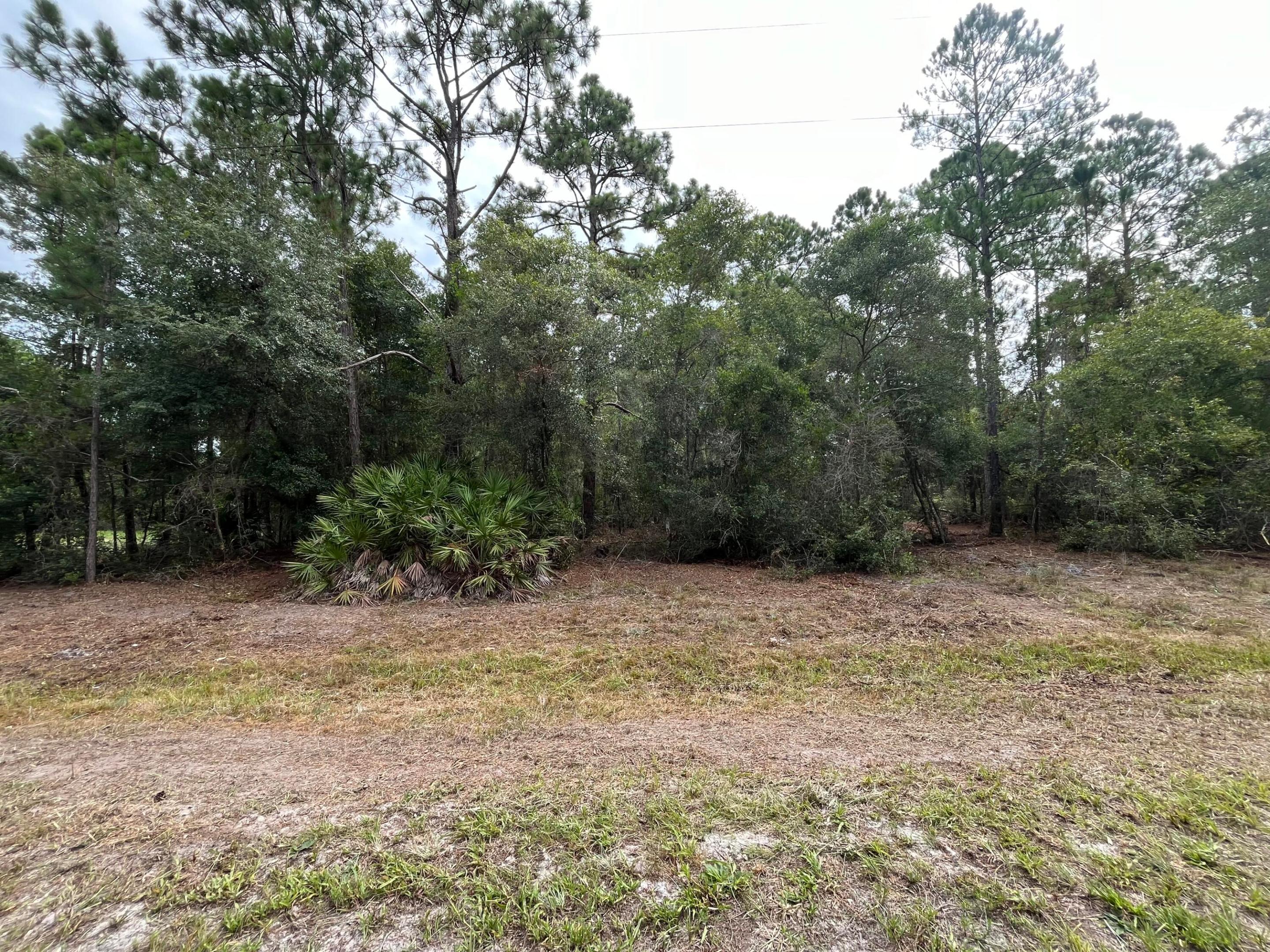 LAKE GEORGE MANOR - Land