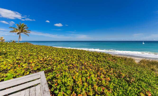 JUNO SHORES RESORT CONDO - Residential