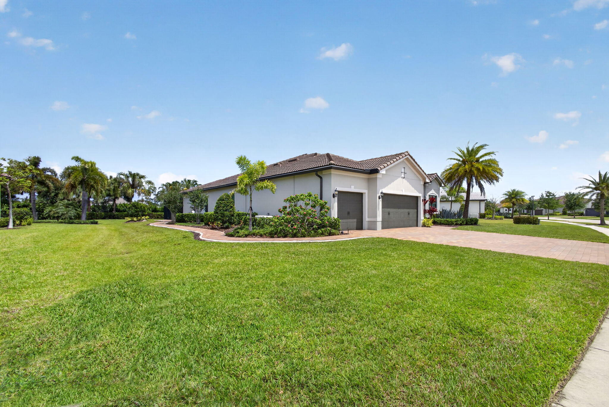 ANCIENT TREE - Residential