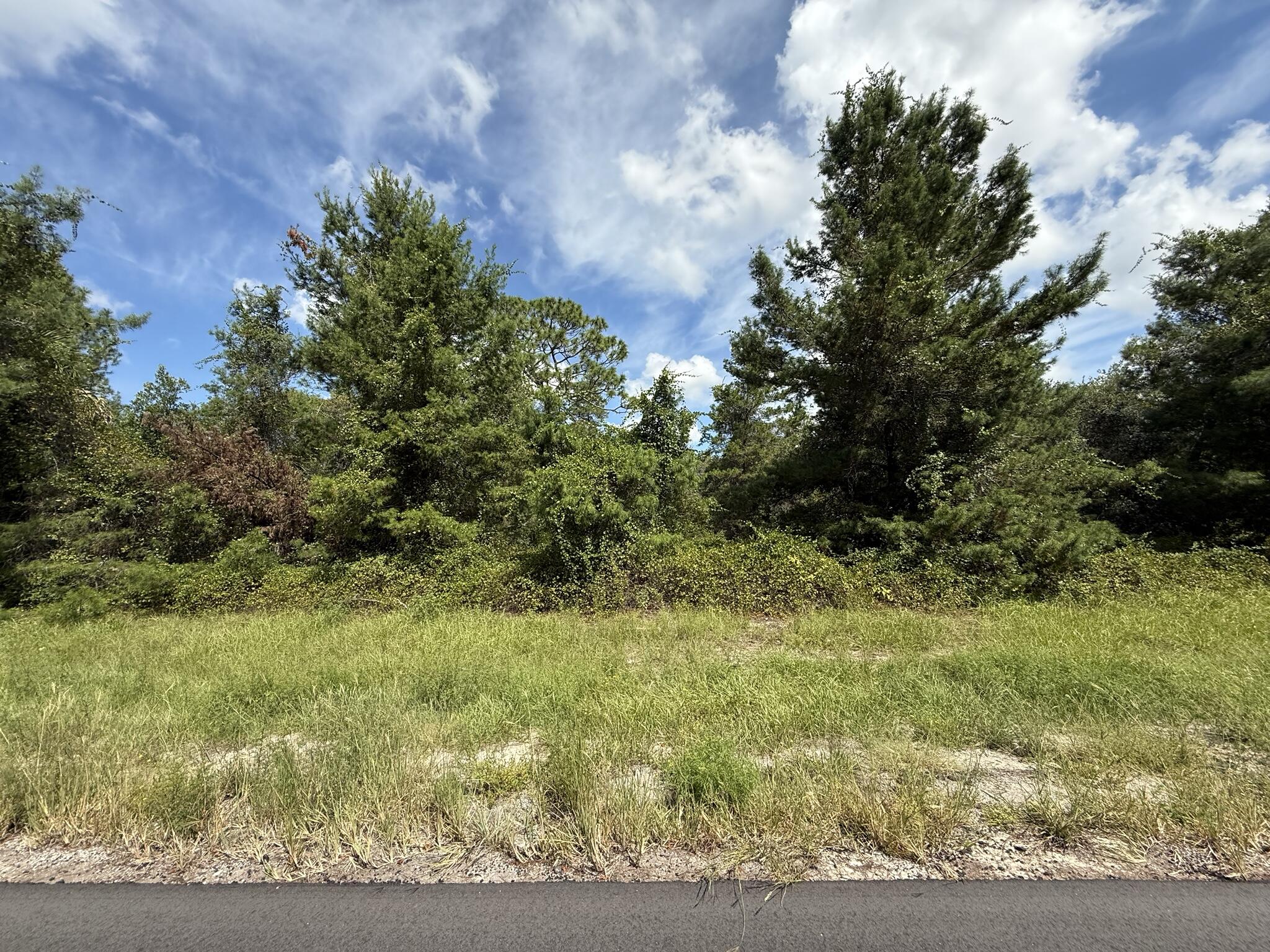 MARION OAKS UN 06 - Land