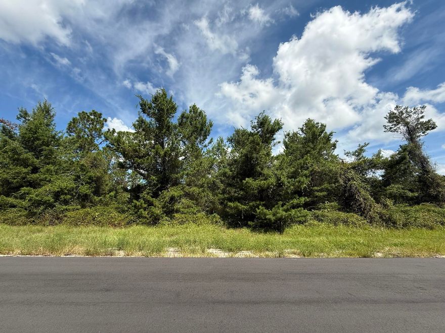 Build your dream home on this spacious 0.68-acre lot located in the growing community of Marion Oaks! Nestled on a paved road with power nearby, this property offers plenty of room for a custom home, outdoor living, and more. No HOA fees. Conveniently situated with easy access to I-75, shopping, dining, schools, and medical facilities. Just a short drive to Ocala's renowned equestrian venues, natural springs, and state parks. Don't miss the opportunity to secure your own piece of Florida paradise! for directional purposes use 3286 SW 177TH LANE RD