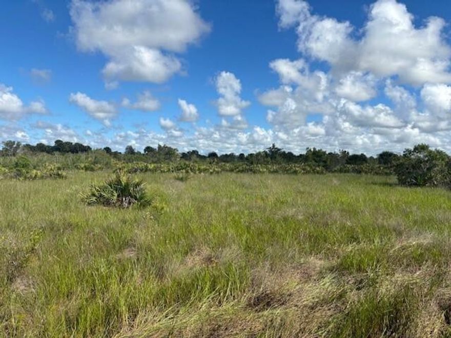 1.25 acre lot in Viking Estates. Close to the Kissimmee Prairie State Park. Bring your 4 -wheelers. This property is not only ideal for recreational uses such has camping, hunting and shooting, but it’s agricultural as well. Owner financing available