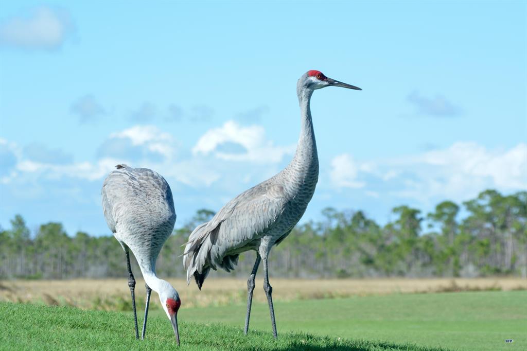 RETREAT - Residential