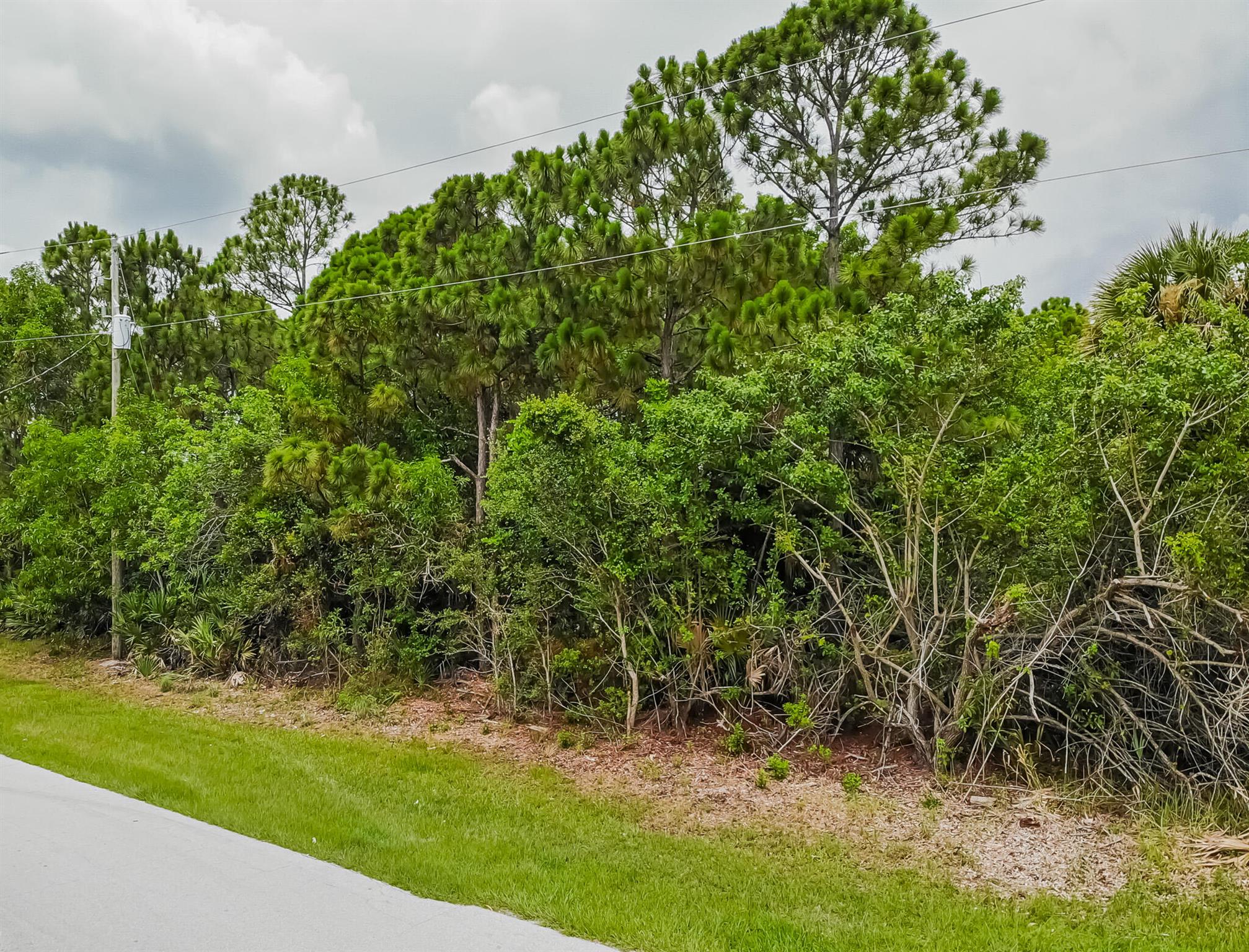 Great Location! Green River Parkway/Savannahs Preserve area. Lot 30 also available.