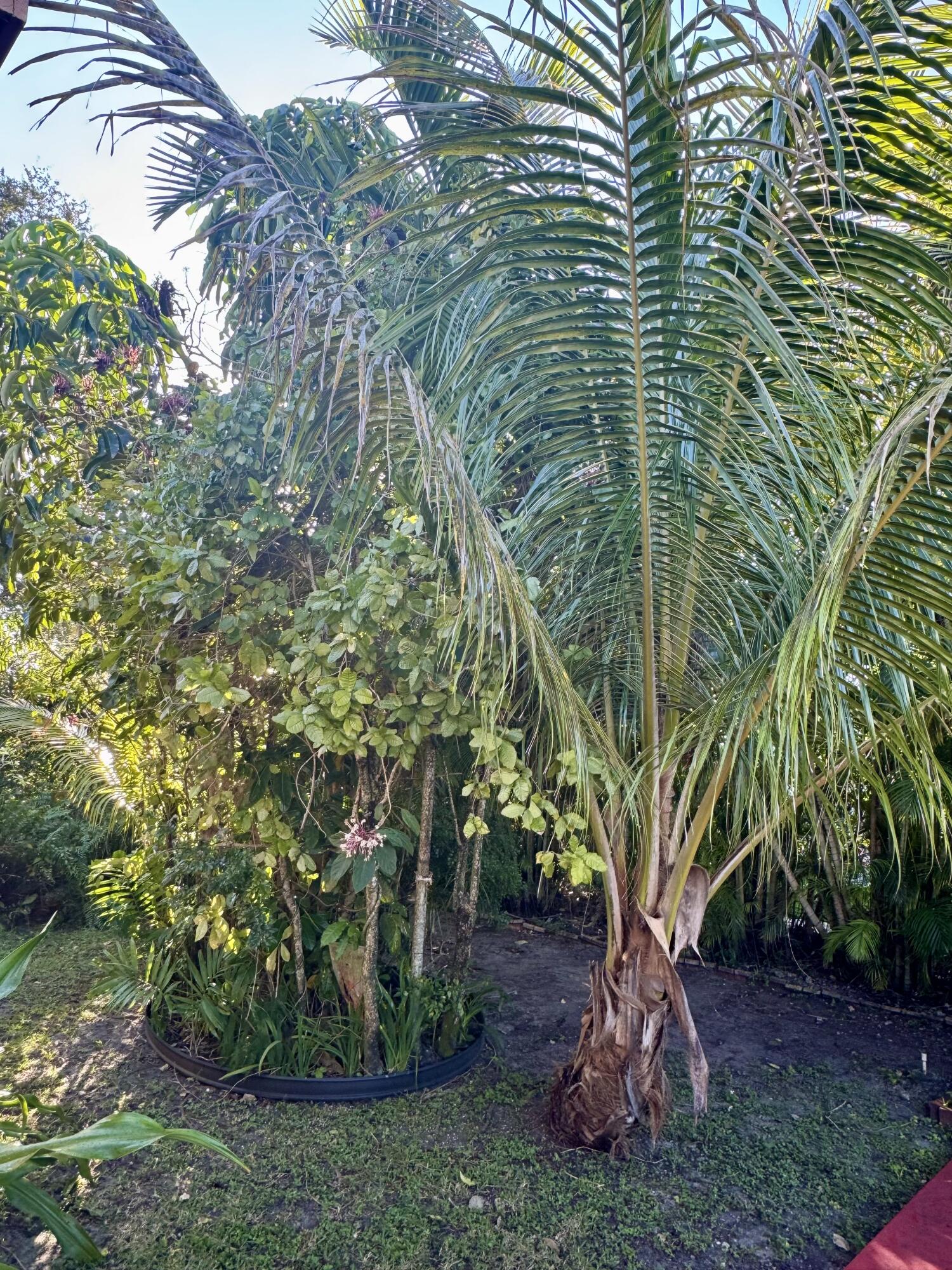 TRAIL GRANADA ADDN - Residential