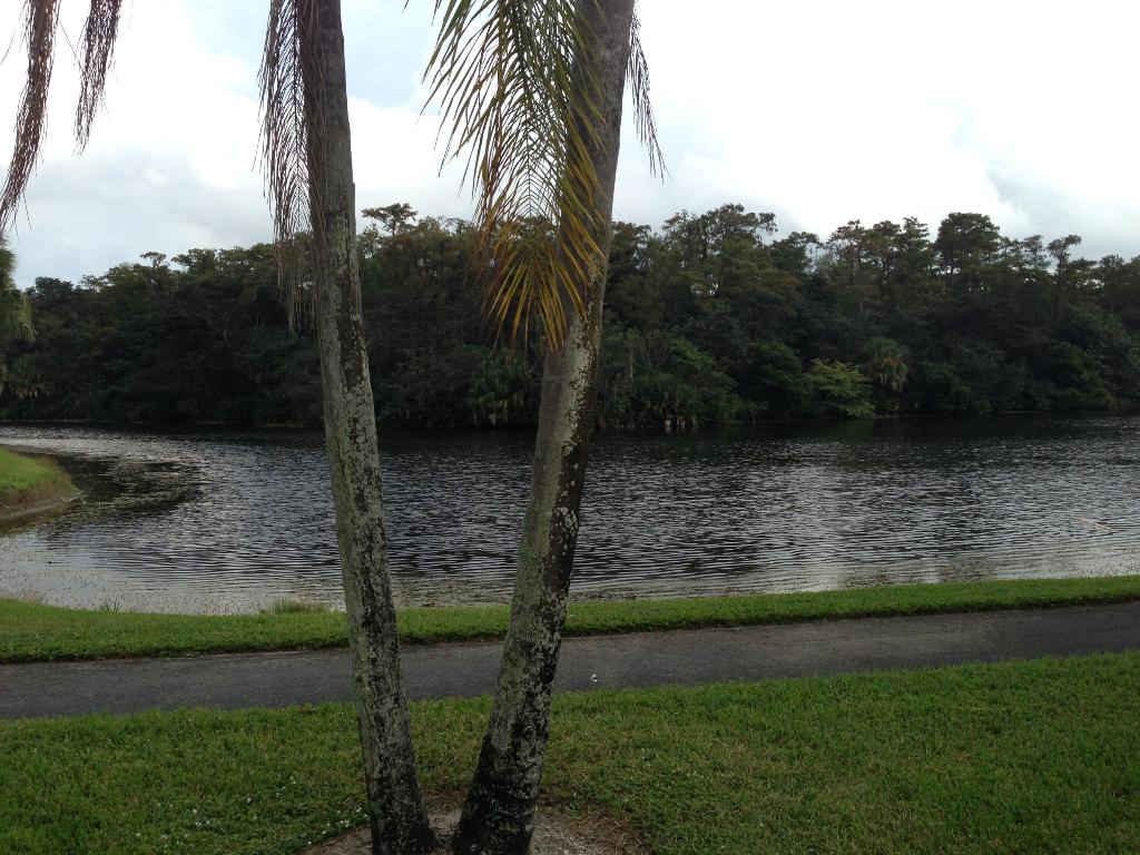 TRADEWINDS A CONDO - Residential Lease