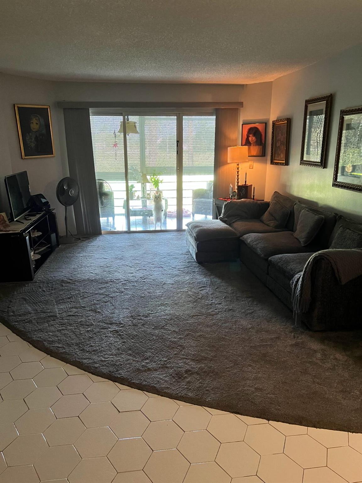 POINCIANA PLACE CONDO 1,2 - Residential