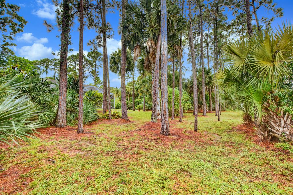 Acreage - Residential