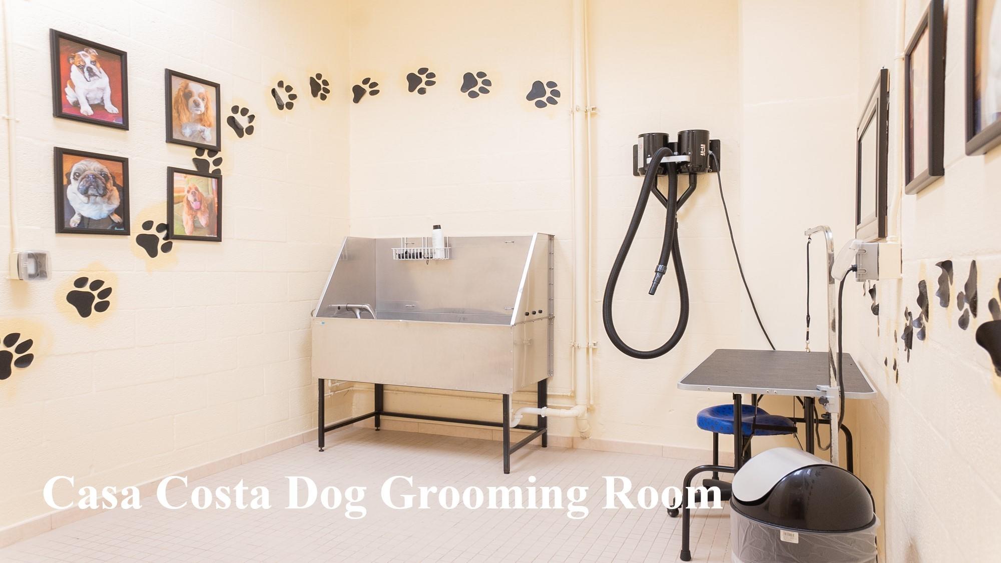 CASA COSTA CONDO - Residential Lease