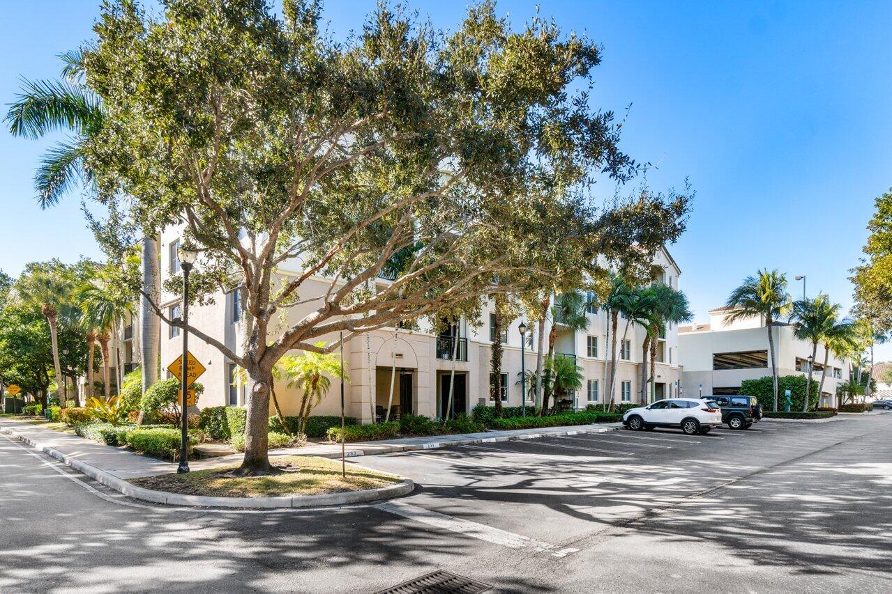 1117 Renaissance Way 117