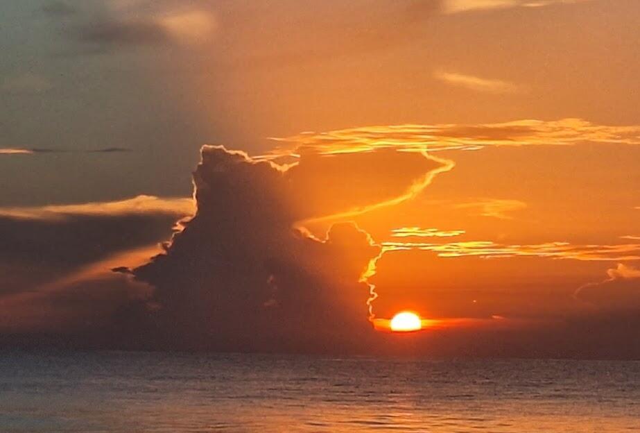 STERLING VILLAGE 320 COND - Residential