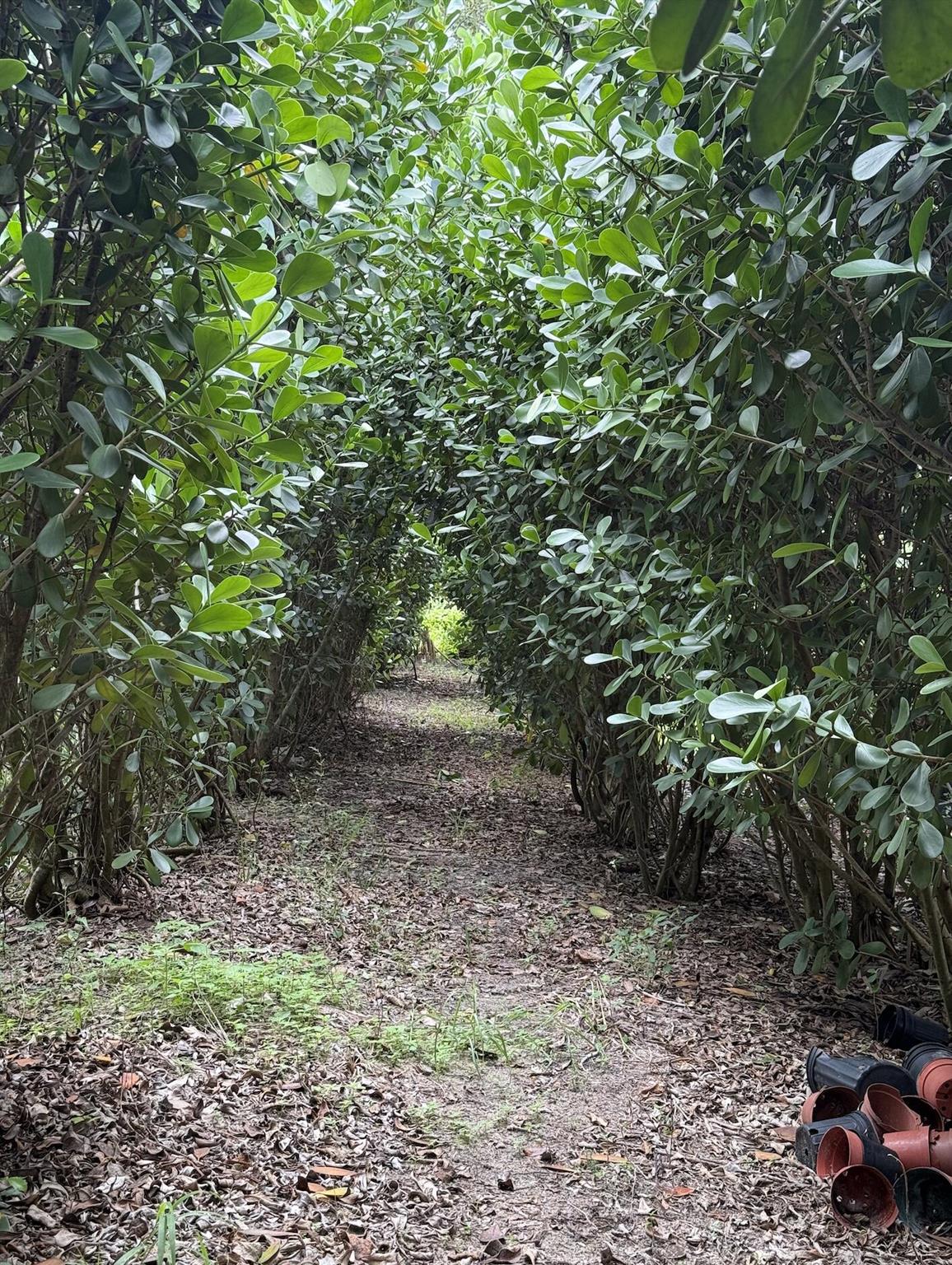 6951 Carol Street SW