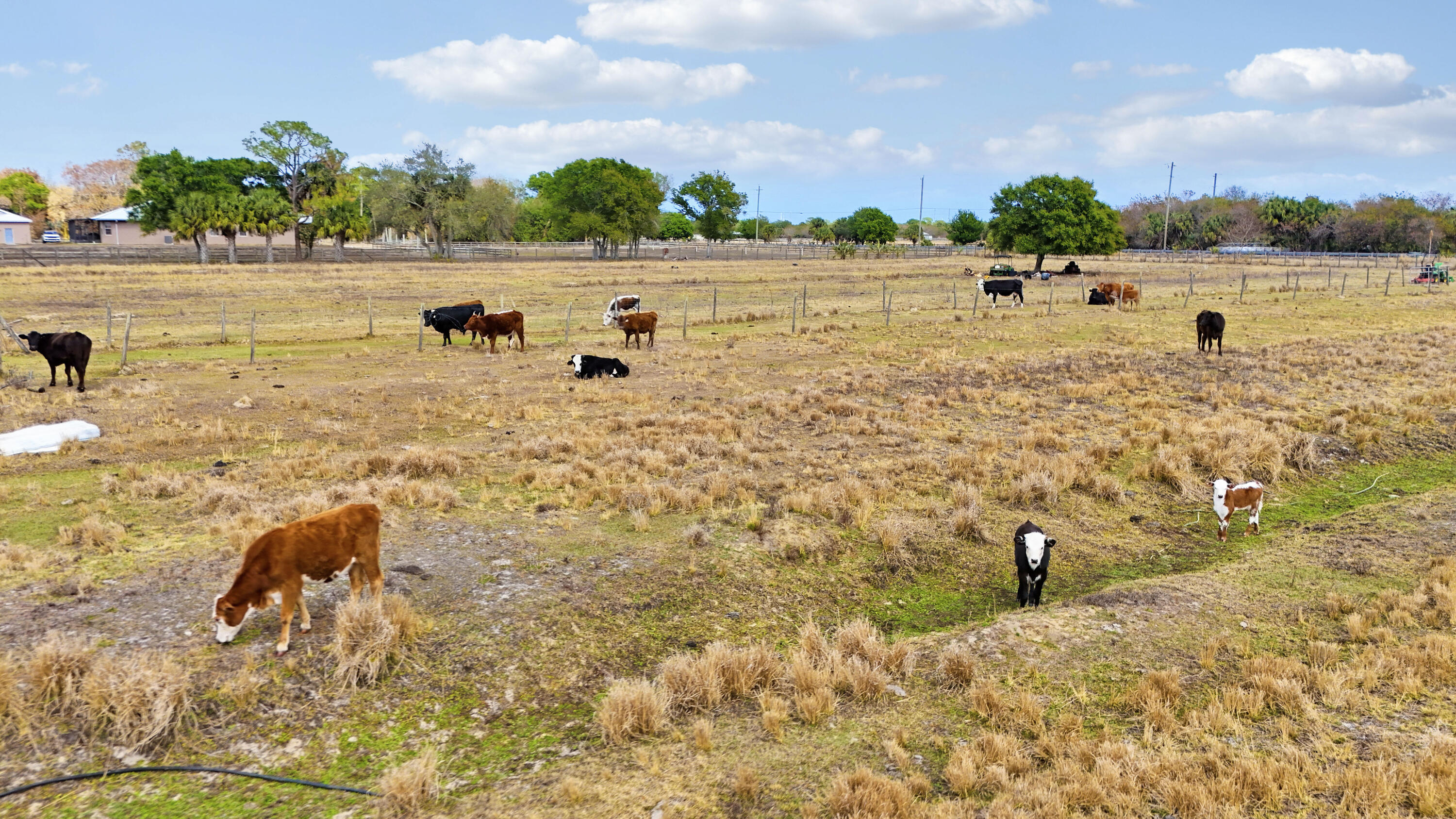 MCNURLEN FARMS SUBDIVISION - Land