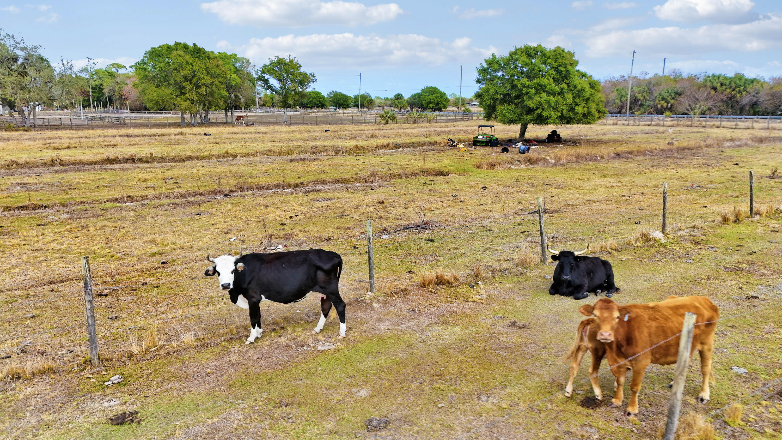 MCNURLEN FARMS SUBDIVISION - Land