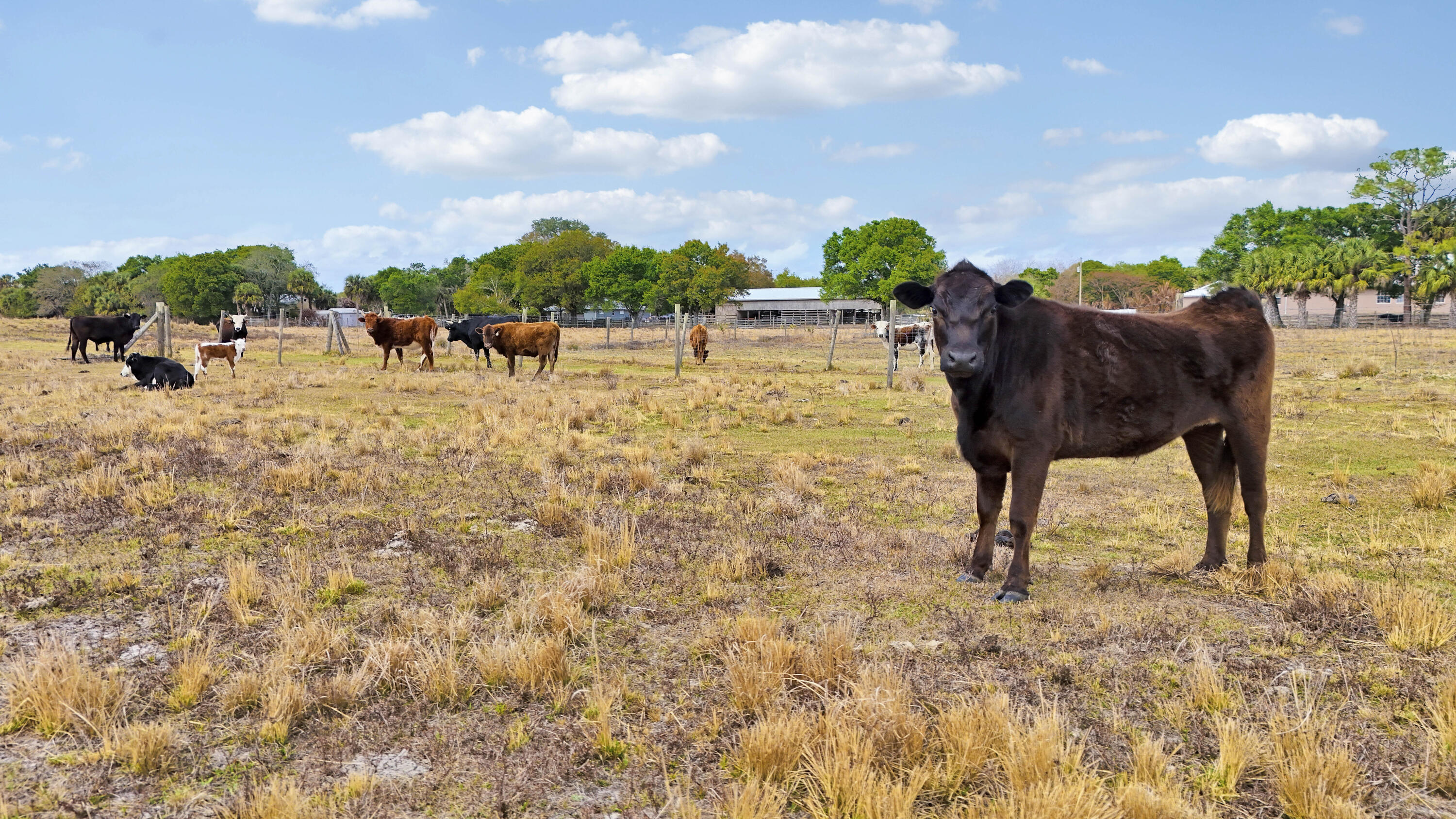 Tbd S Brocksmith Road