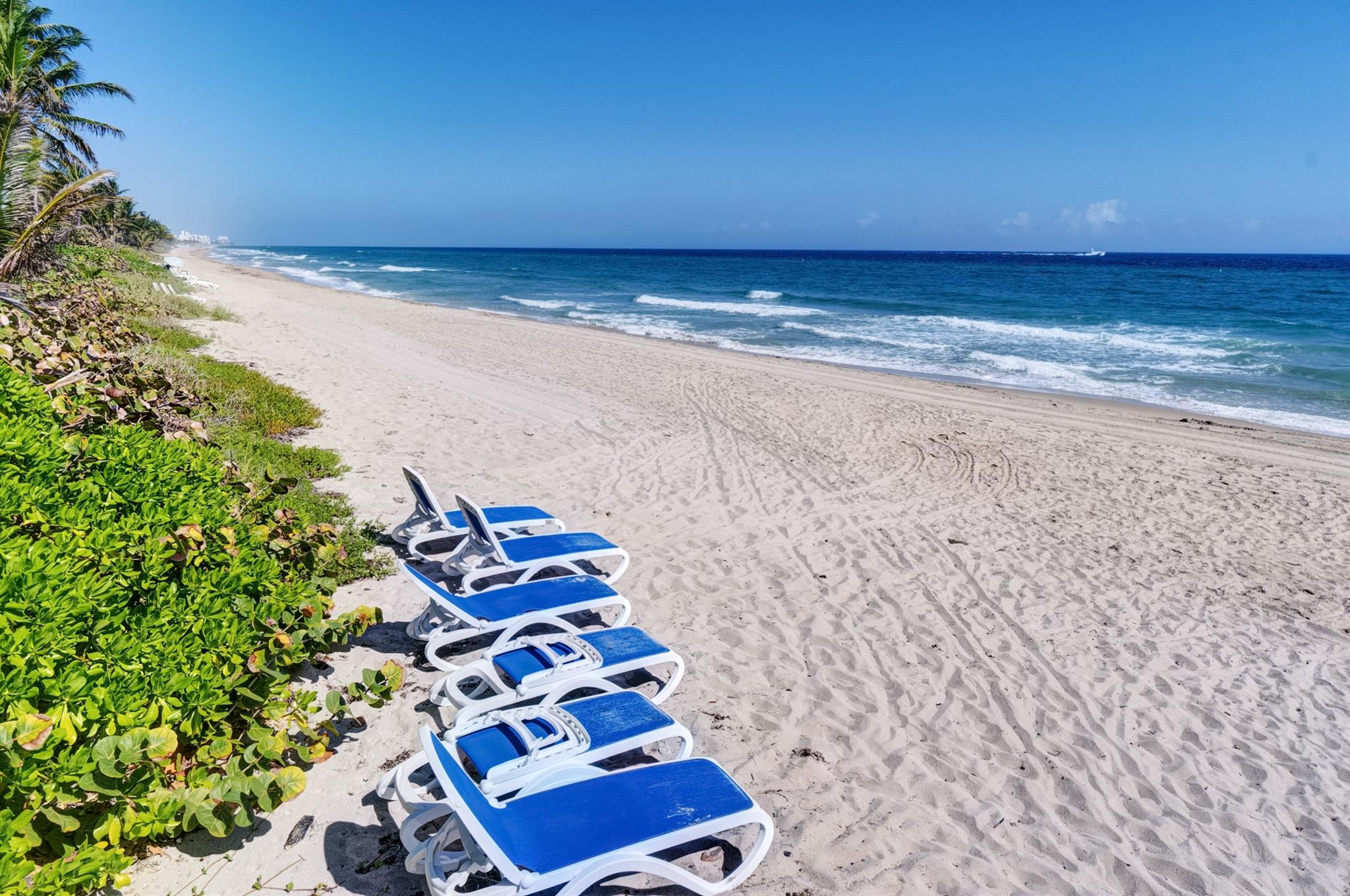 OCEAN GRANDE BEACH & MARI - Residential