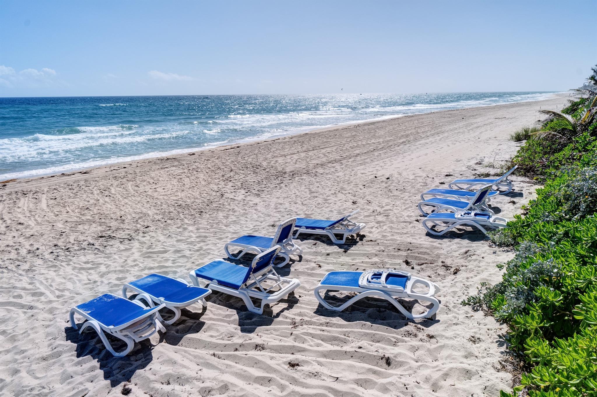 OCEAN GRANDE BEACH & MARI - Residential