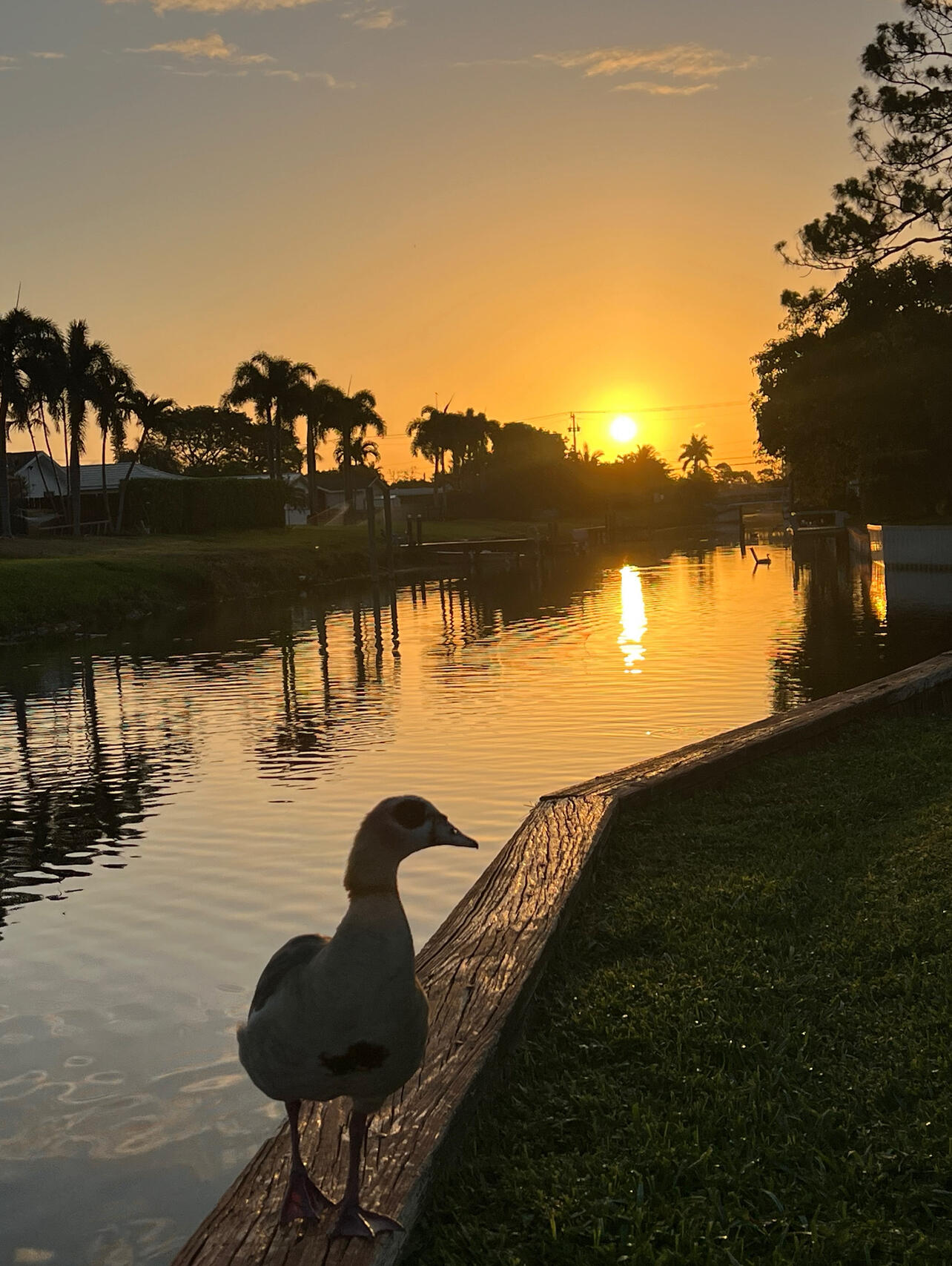 GOLFVIEW HARBOUR 2ND SEC - Residential