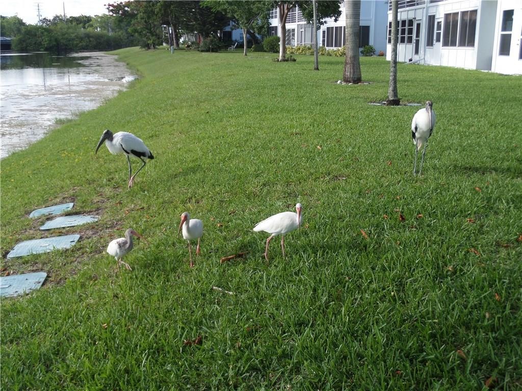 EAST CENTURY VILLAGE - Residential