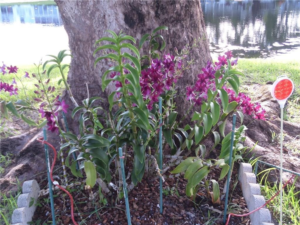 EAST CENTURY VILLAGE - Residential