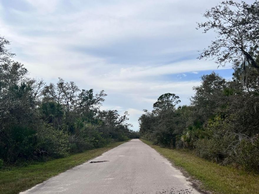 OWNER FINANCIAL AVAILABLE!! Port Charlotte is one of the growing cities in Florida, close to the beach, restaurants, markets, and much more. You can have your new construction home with all the benefits of living in paradise. Make this beautiful lot your future home!!