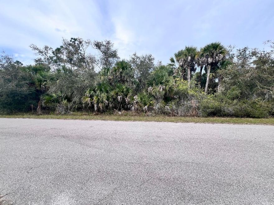 OWNER FINANCIAL AVAILABLE!! Port Charlotte is one of the growing cities in Florida, close to the beach, restaurants, markets, and much more. You can have your new construction home with all the benefits of living in paradise. Make this beautiful lot your future home!!