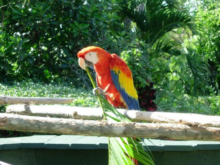 WATER GLADES CONDO - Residential Lease