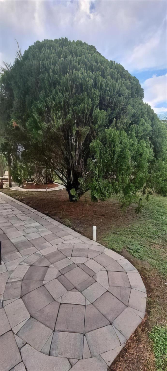 Oasis Village - Residential