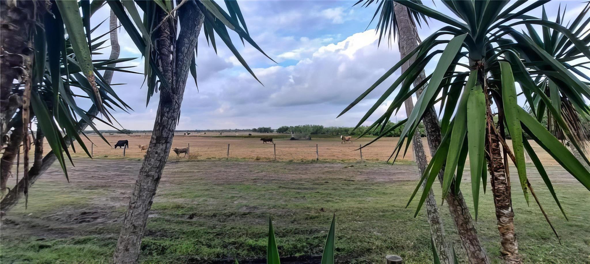 Oasis Village - Residential