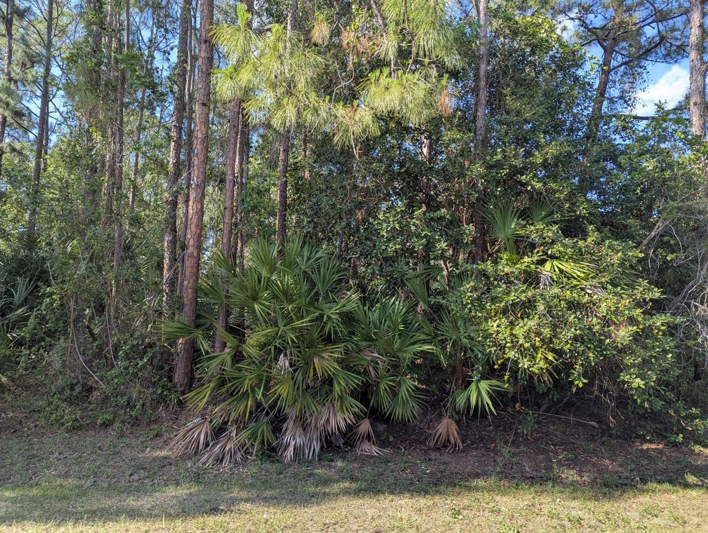 Photo of 135 97 Road N, West Palm Beach, FL 33412 (MLS # R11081966)