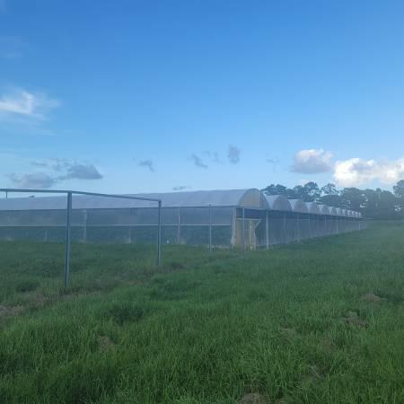 Bring your RV and all of your toys to live the farm life while still being close to the city! Or rent the greenhouses and be a farmer. Seller is open to various uses for the land including storage, farming operations or full time live on the land tenant. Close to 19 acres available for multiple uses. Workshop with car lift also onsite as well as other warehouse and small office.