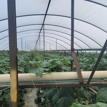 METES AND BOUNDS - Residential Lease