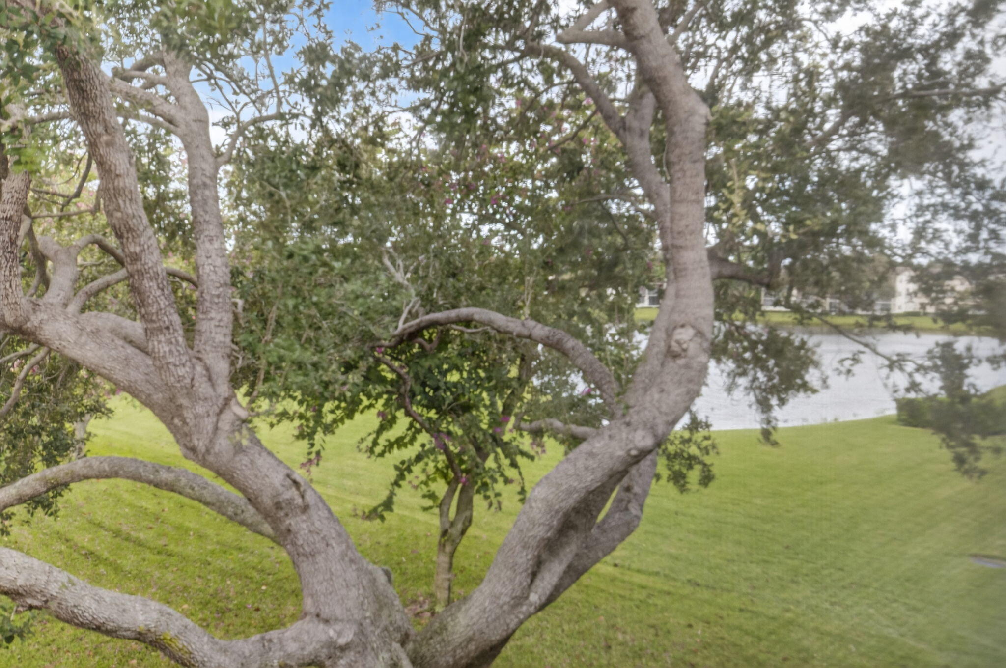 PRESTON AT CENTURY VILLAGE CONDO - Residential