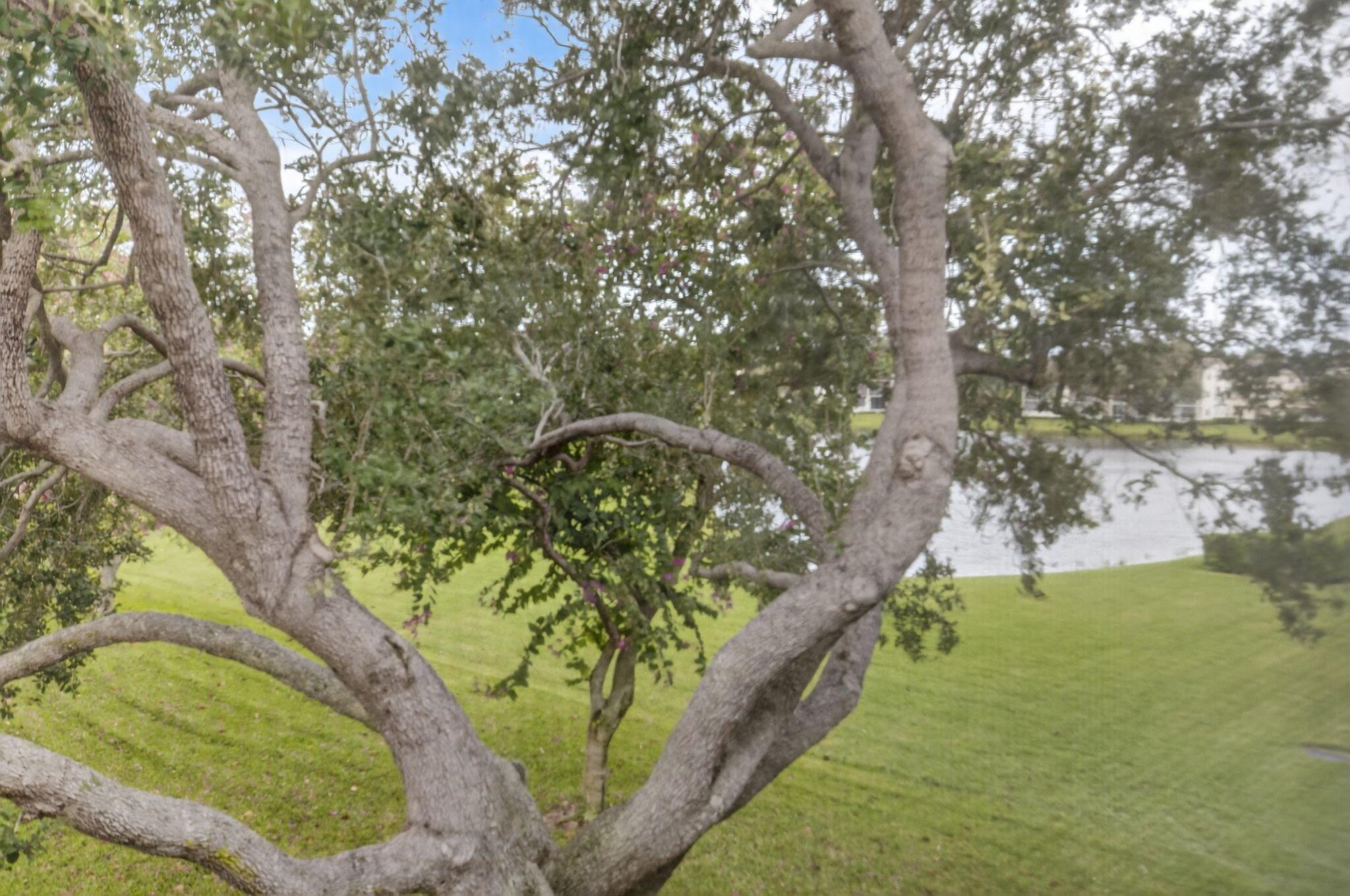 PRESTON AT CENTURY VILLAG - Residential