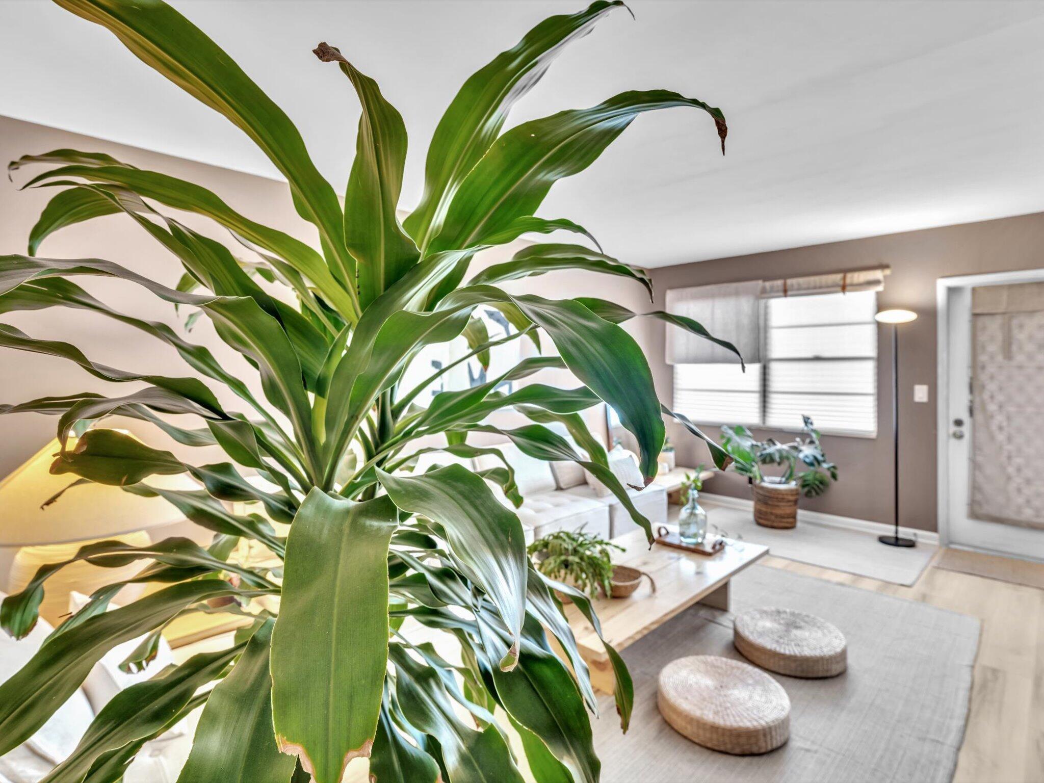 Century Village East - Residential