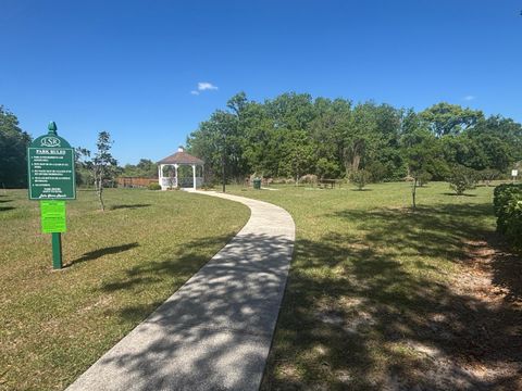 Tiny photo for 1001 Harvest Moon Drive, Seffner, FL 33584 (MLS # B26015023)
