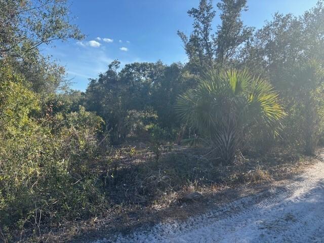 5 acre in Okeechobee…only $5k down with owner financing
Camp, hunt and ride
