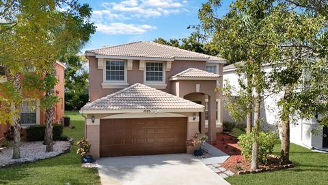 1595 Briar Oak Drive Royal Palm Beach FL 33411