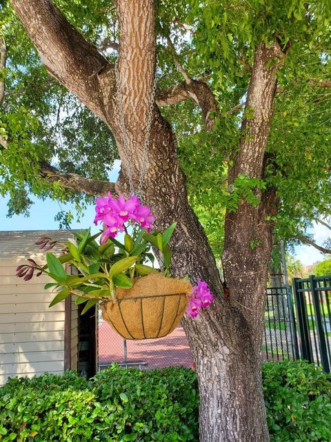 Tiny photo for 8120 SW 24th Street #103, North Lauderdale, FL 33068 (MLS # F10514594)