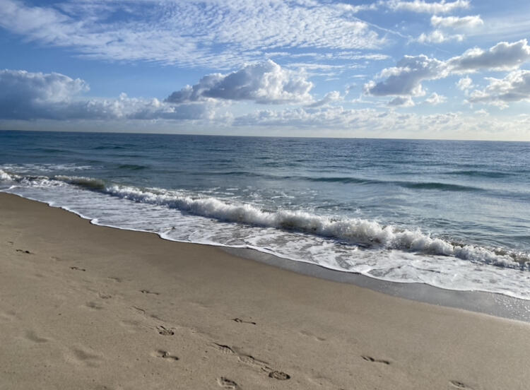 Leisure Towers - Residential Lease