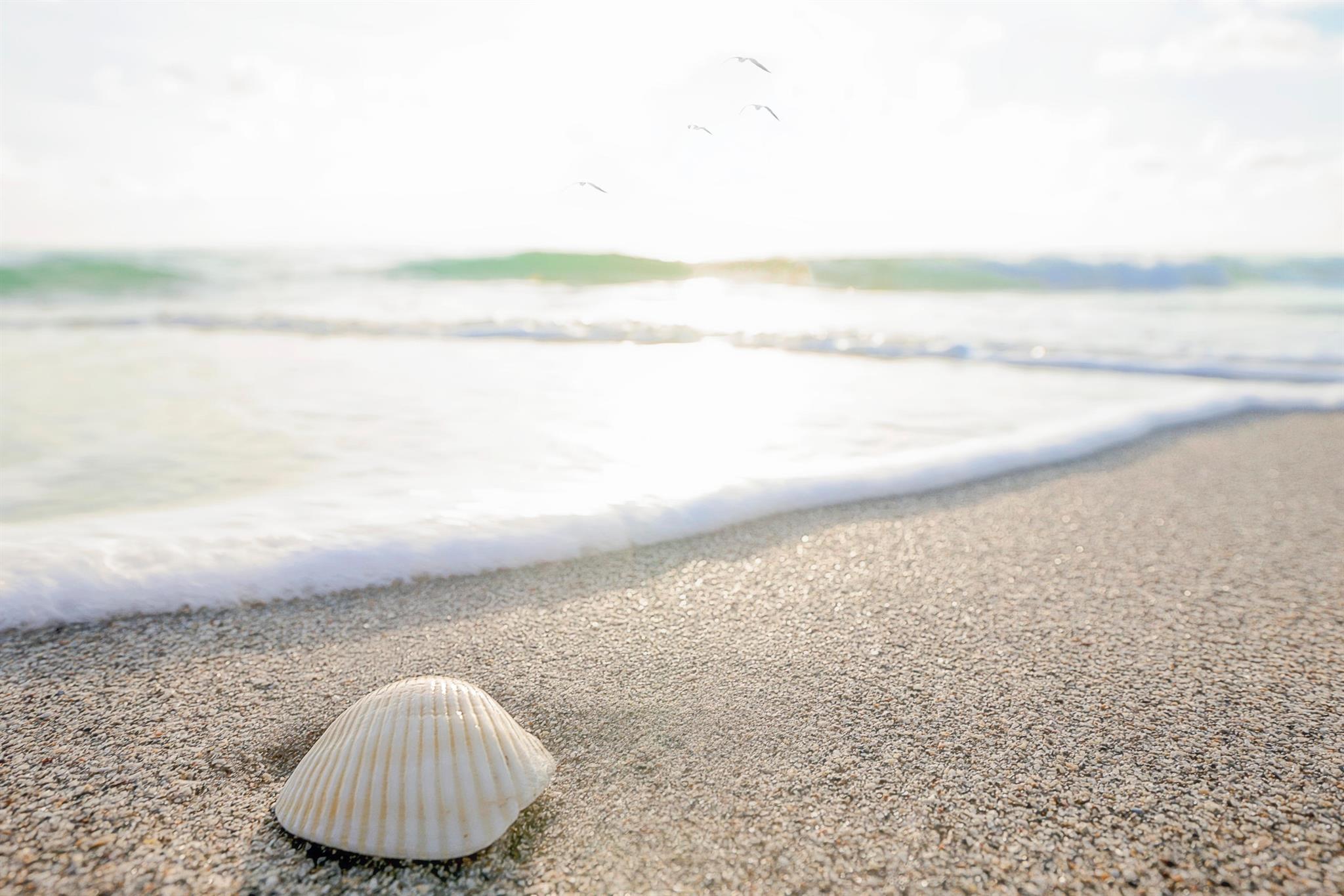 AQUARIUS CONDO - Residential Lease