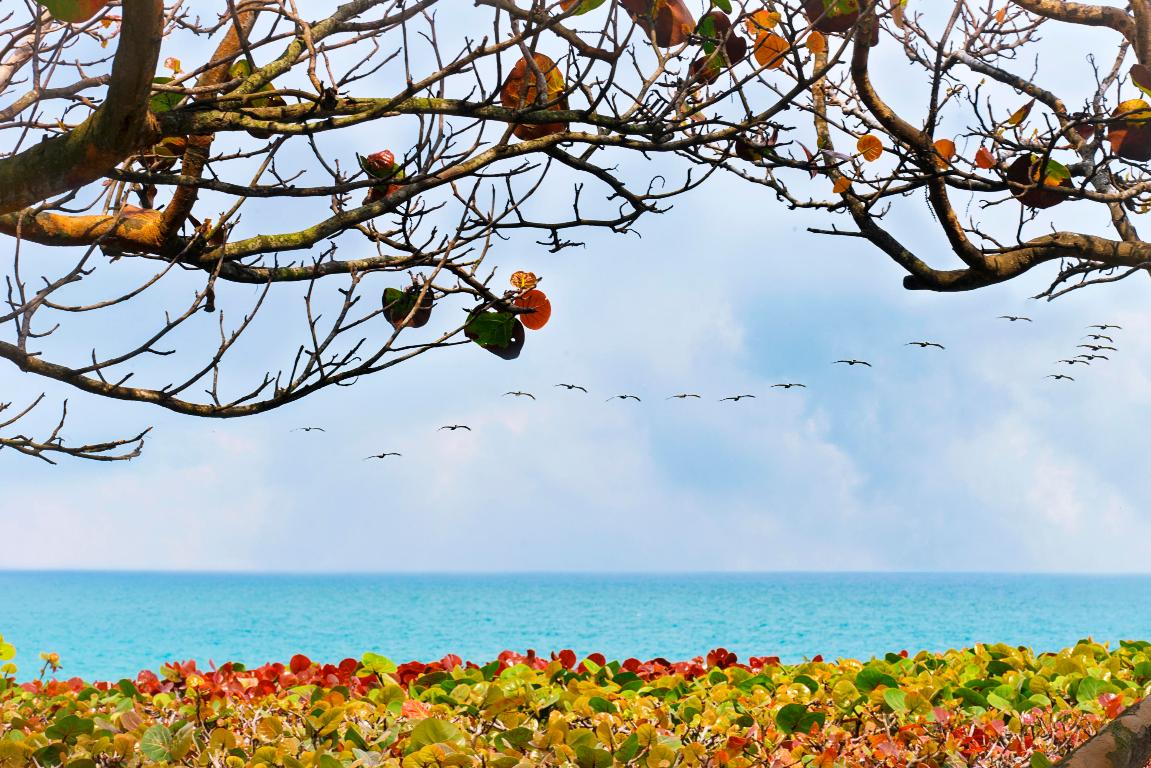 AQUARIUS CONDO - Residential Lease