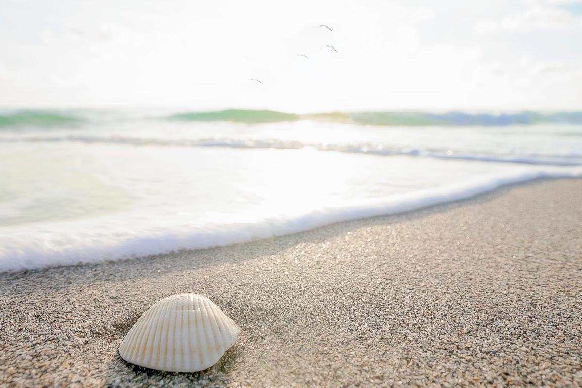 AQUARIUS CONDO - Residential Lease