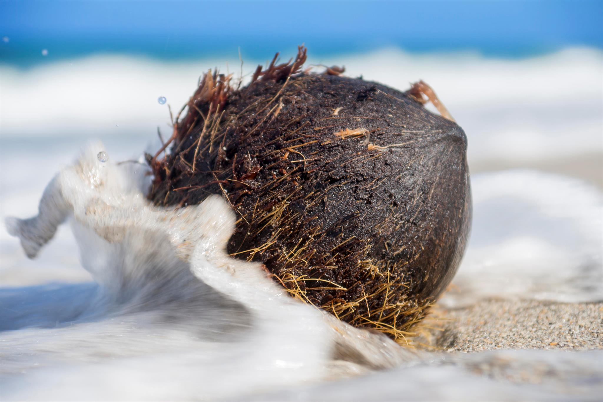 AQUARIUS CONDO - Residential Lease