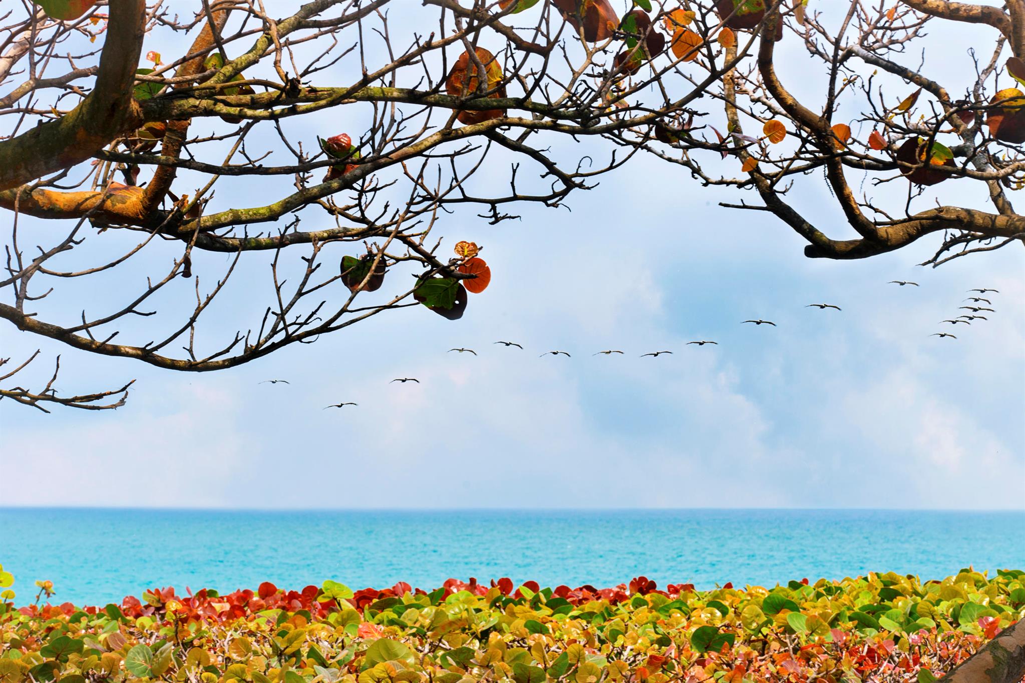 AQUARIUS CONDO - Residential Lease