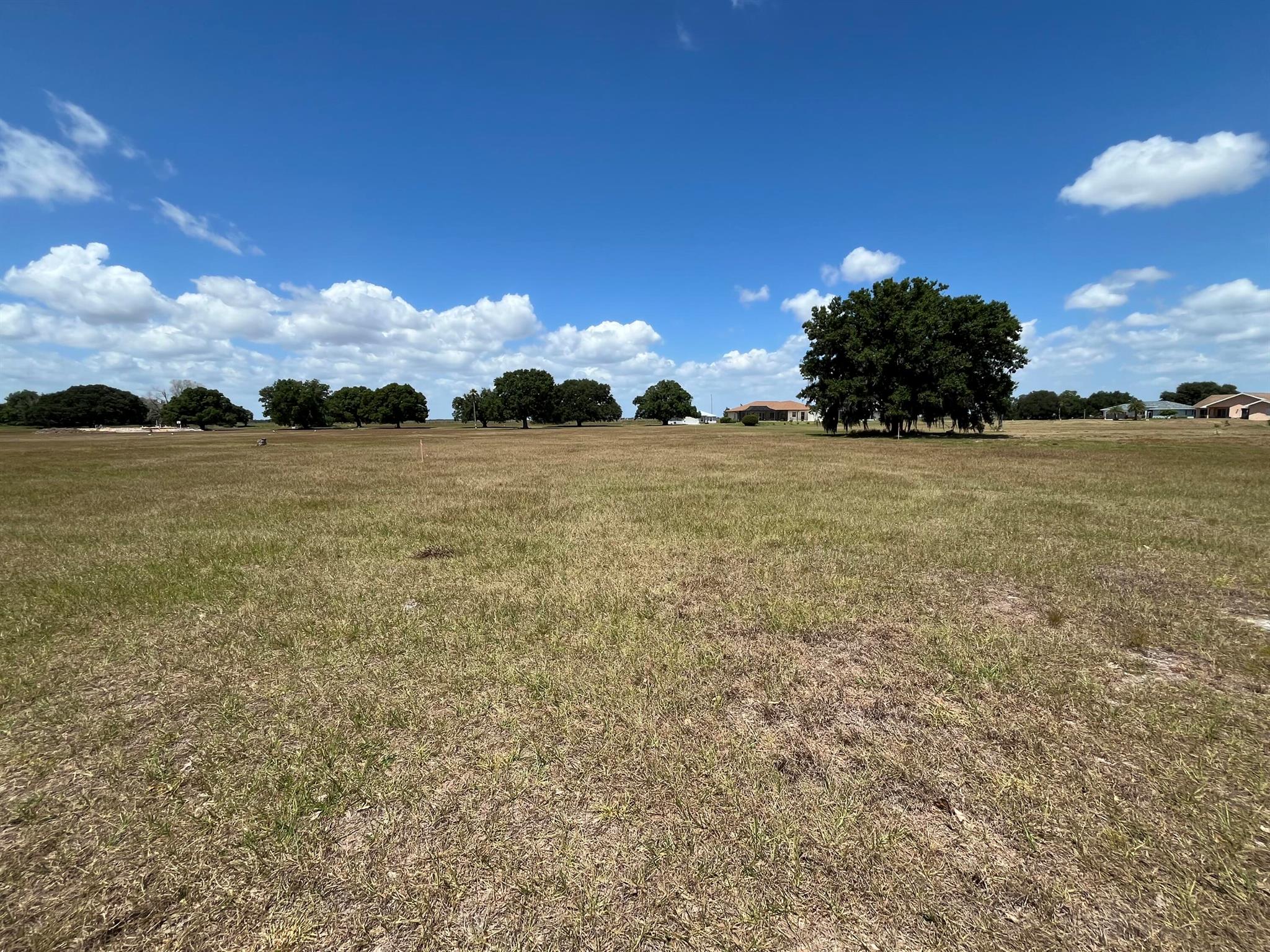 BLUE HERON GOLF & C C - Land