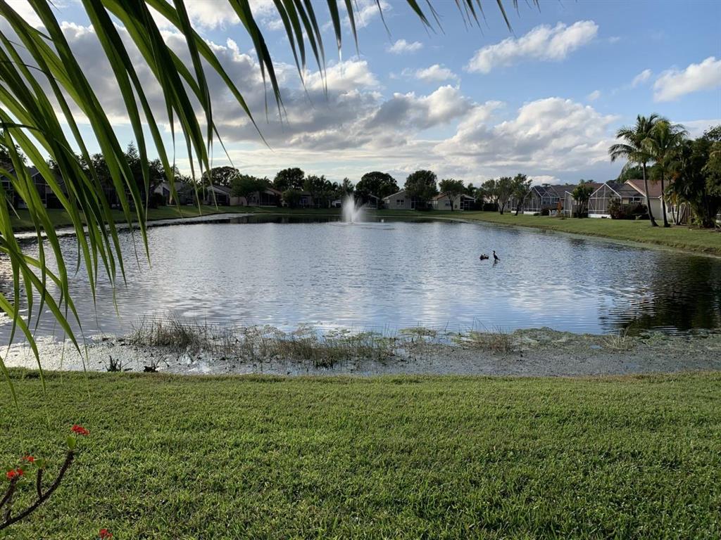 The Grove - Residential