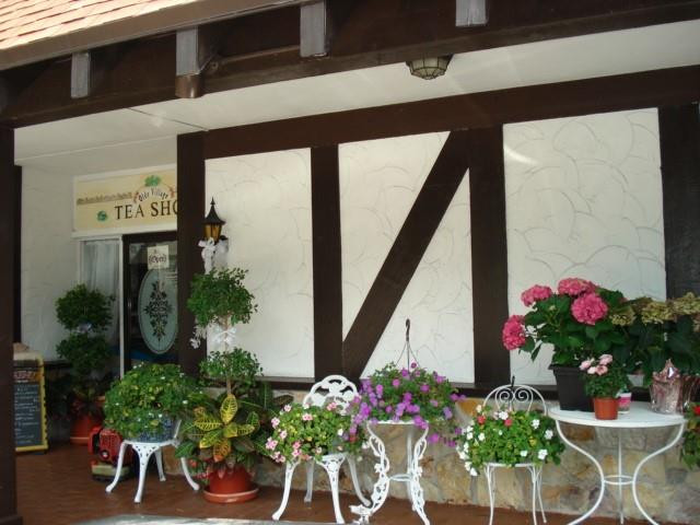 INTERNATIONAL VILLAGE AT - Residential